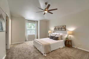 Spacious bedroom featuring plush carpeting, a large window with blinds, and a ceiling fan with integrated lighting