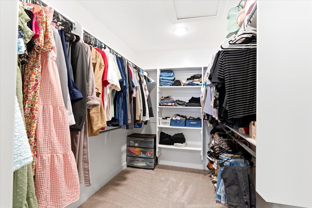 Spacious walk-in closet featuring extensive hanging storage, built-in shelving, carpet flooring, and recessed lighting