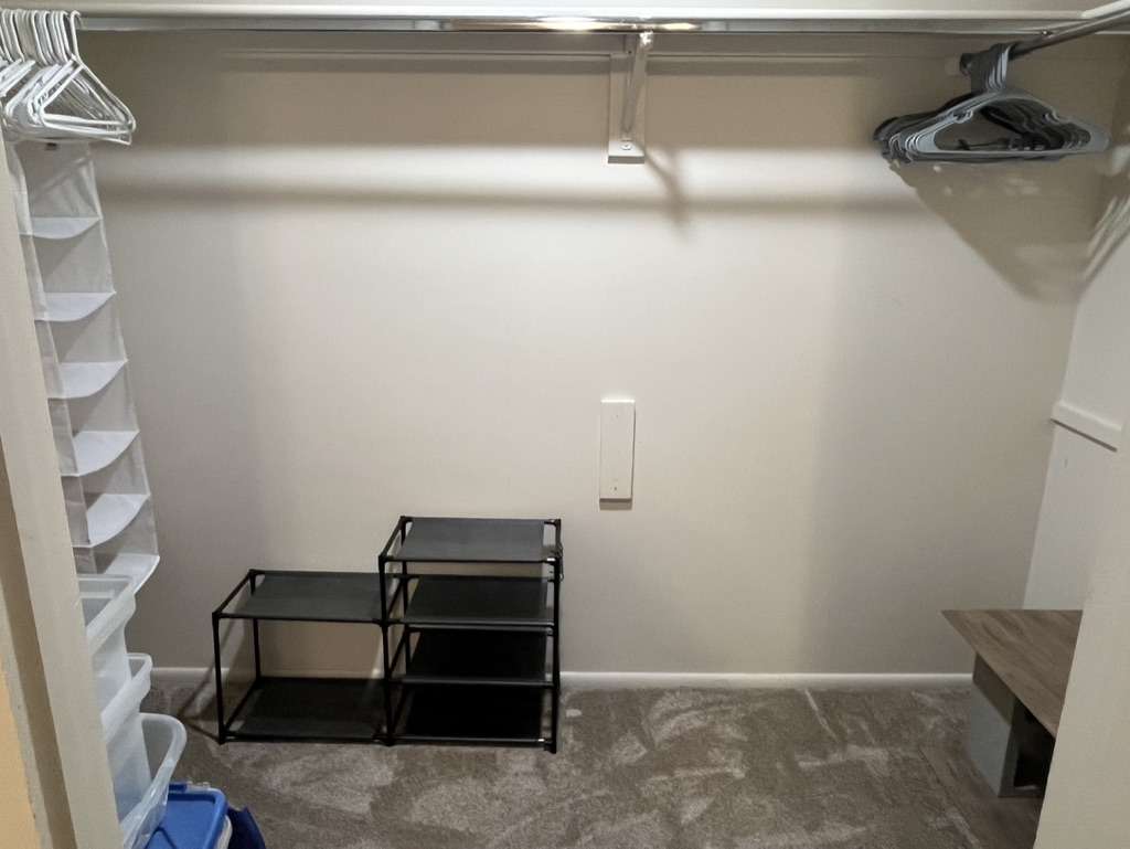 Closet featuring a single clothes hanging rod, neutral wall paint, and gray carpet flooring