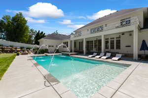 Outdoor swimming pool featuring water jets and a sun shelf