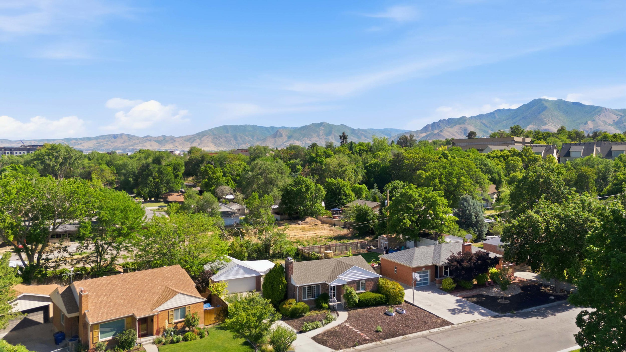 Aerial perspective highlighting a tree-lined neighborhood with mountain backdrops