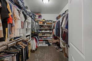 Walk-in closet featuring built-in shelving, clothing rods, overhead lighting, and carpet flooring