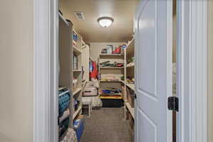 Walk-in closet featuring extensive built-in shelving, hanging rods, recessed ceiling light fixture, and carpet flooring
