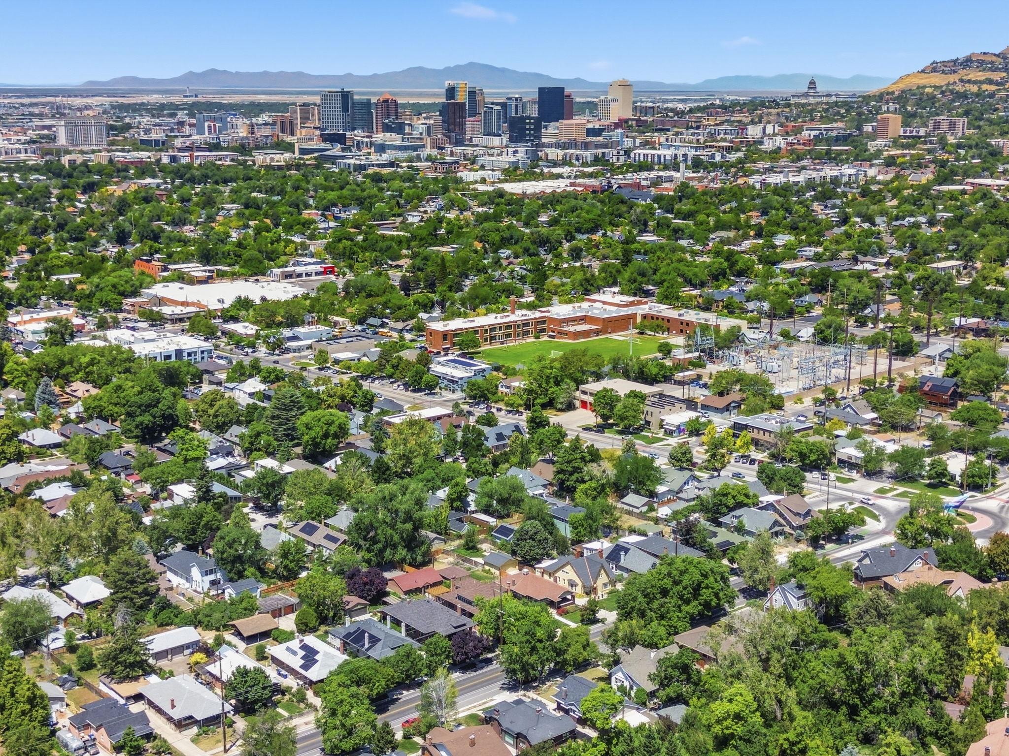 Aerial perspective showcasing a sprawling urban landscape with a dense canopy of mature trees