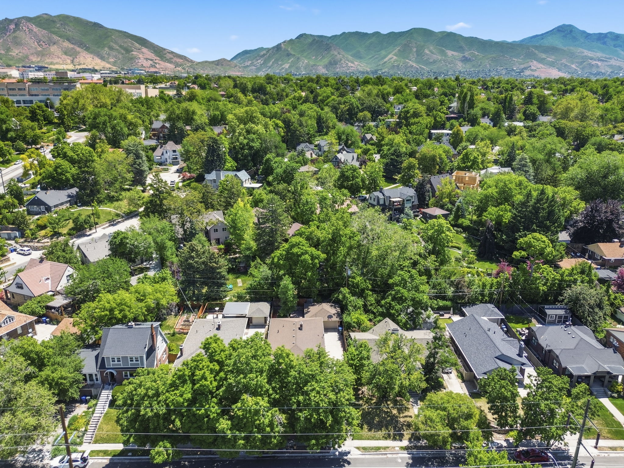 Residential area featuring mature tree canopies and varied architectural styles