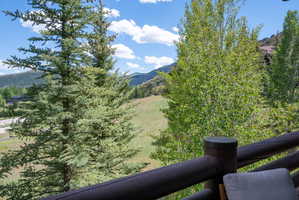 Expansive mountain landscape with a verdant valley and mature trees,