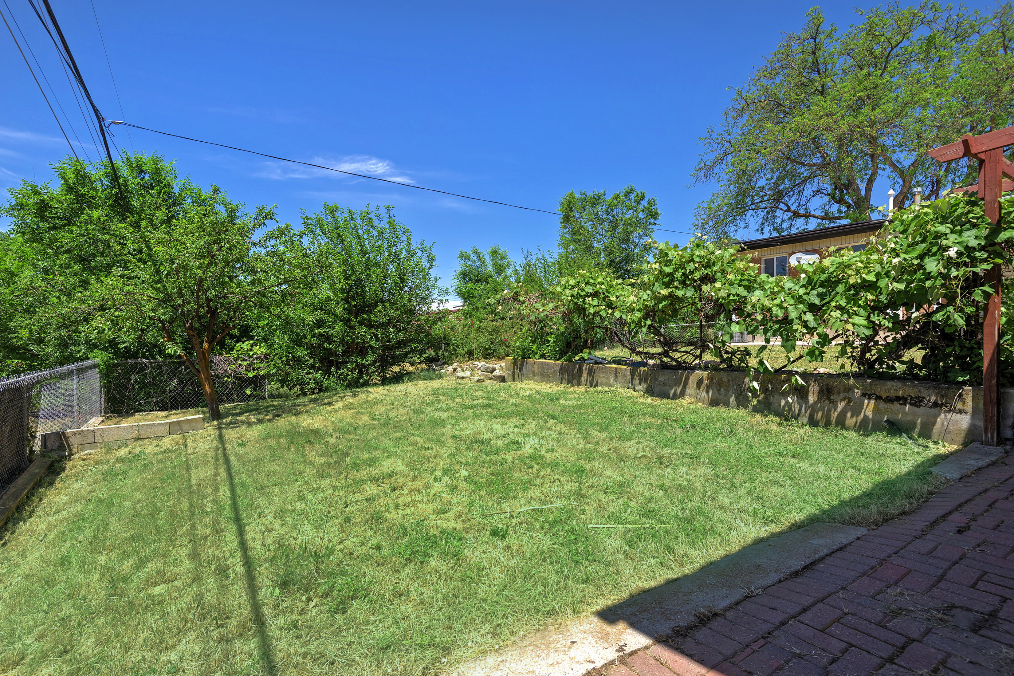 Expansive backyard featuring a lush lawn, mature trees, and a brick patio