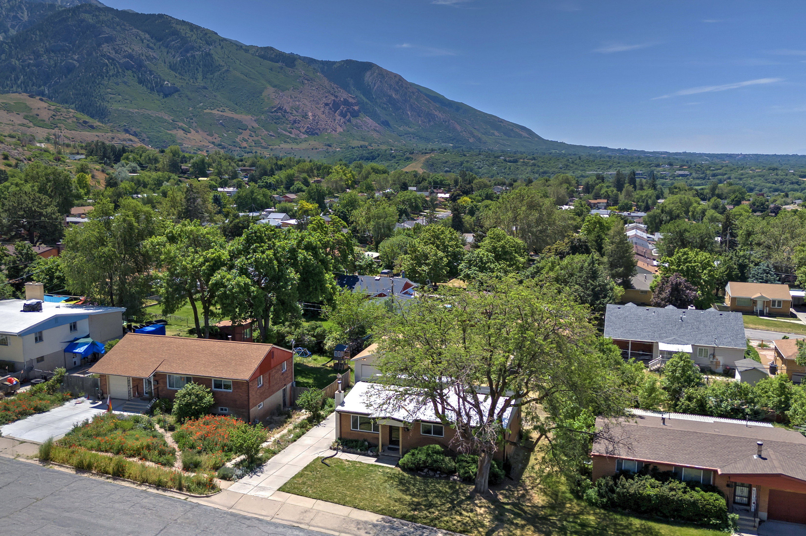 Expansive mountain backdrop with a residential area featuring mature trees and established homes