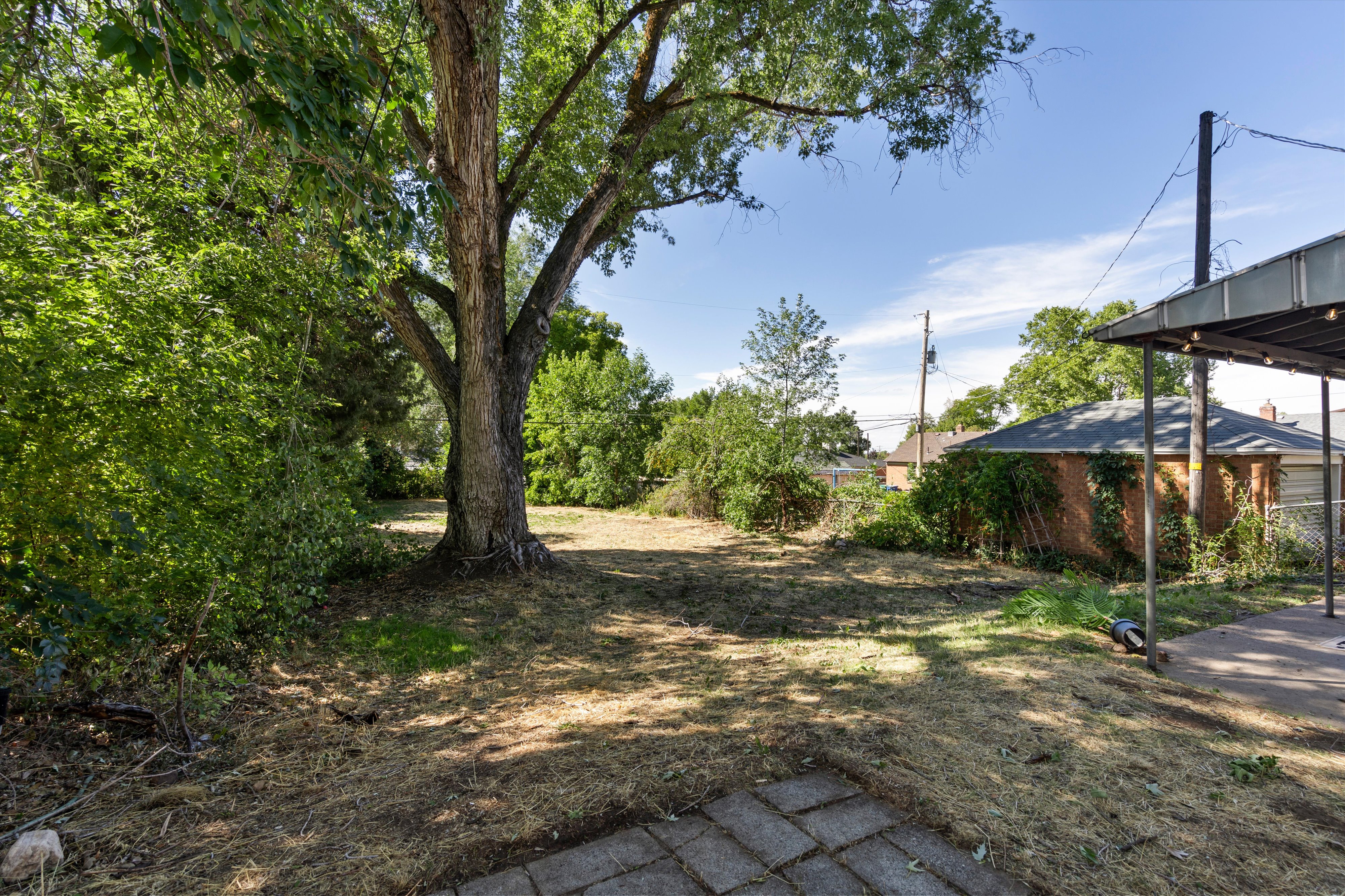 Expansive backyard space featuring mature trees providing shade