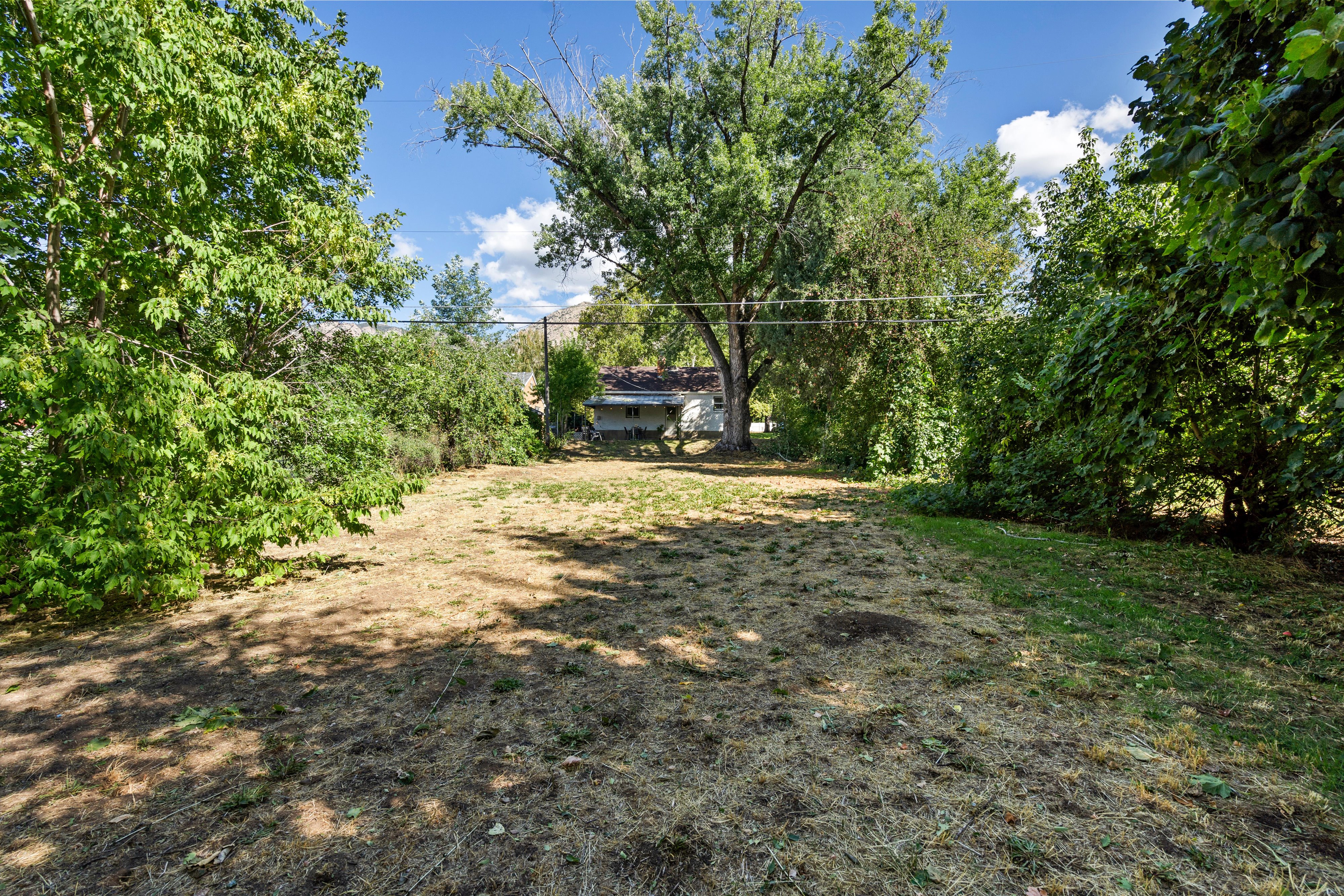 Expansive outdoor space featuring a large grassy area framed by mature trees and lush foliage