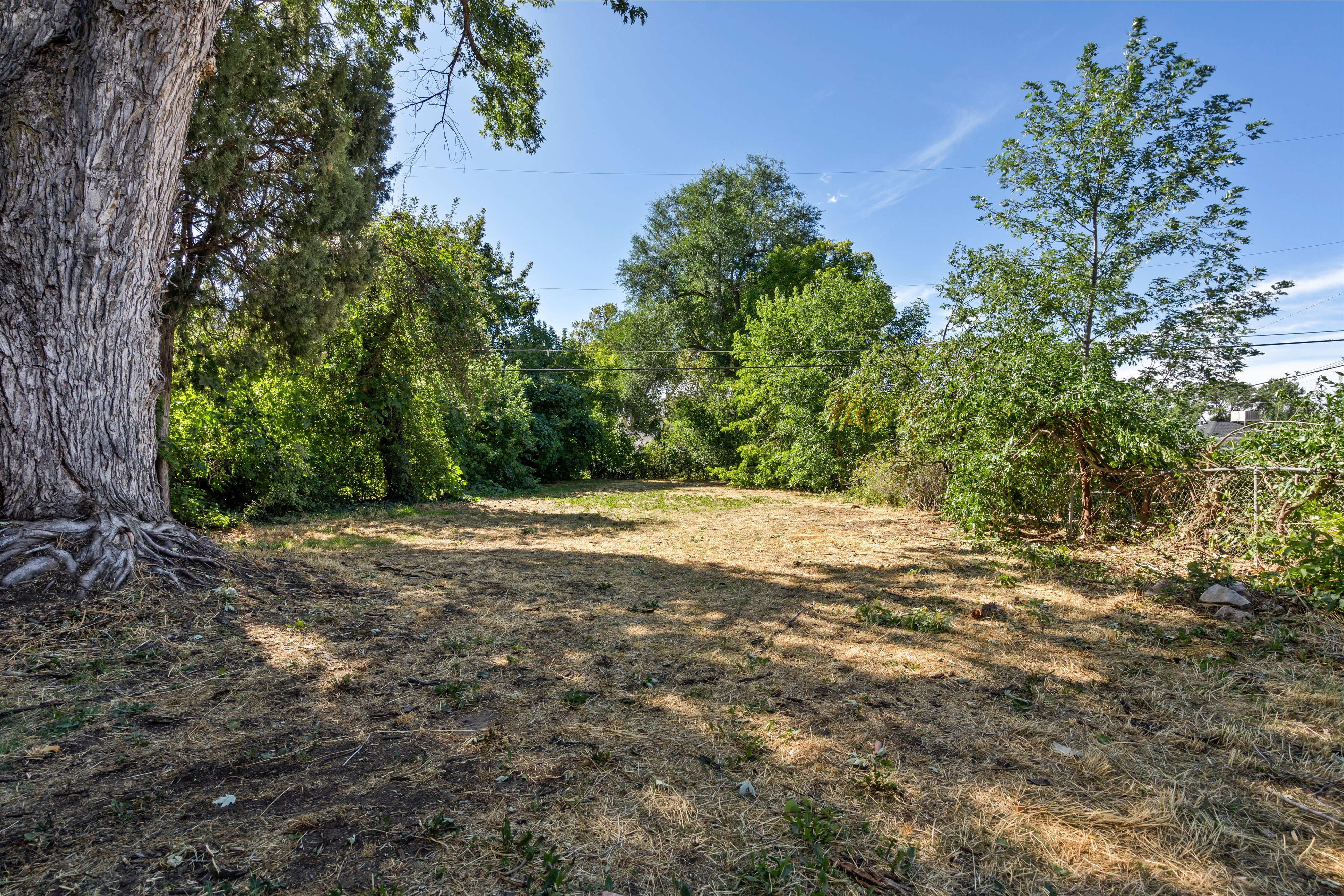 Expansive lot featuring mature trees, partial chain-link fencing, and clear skies