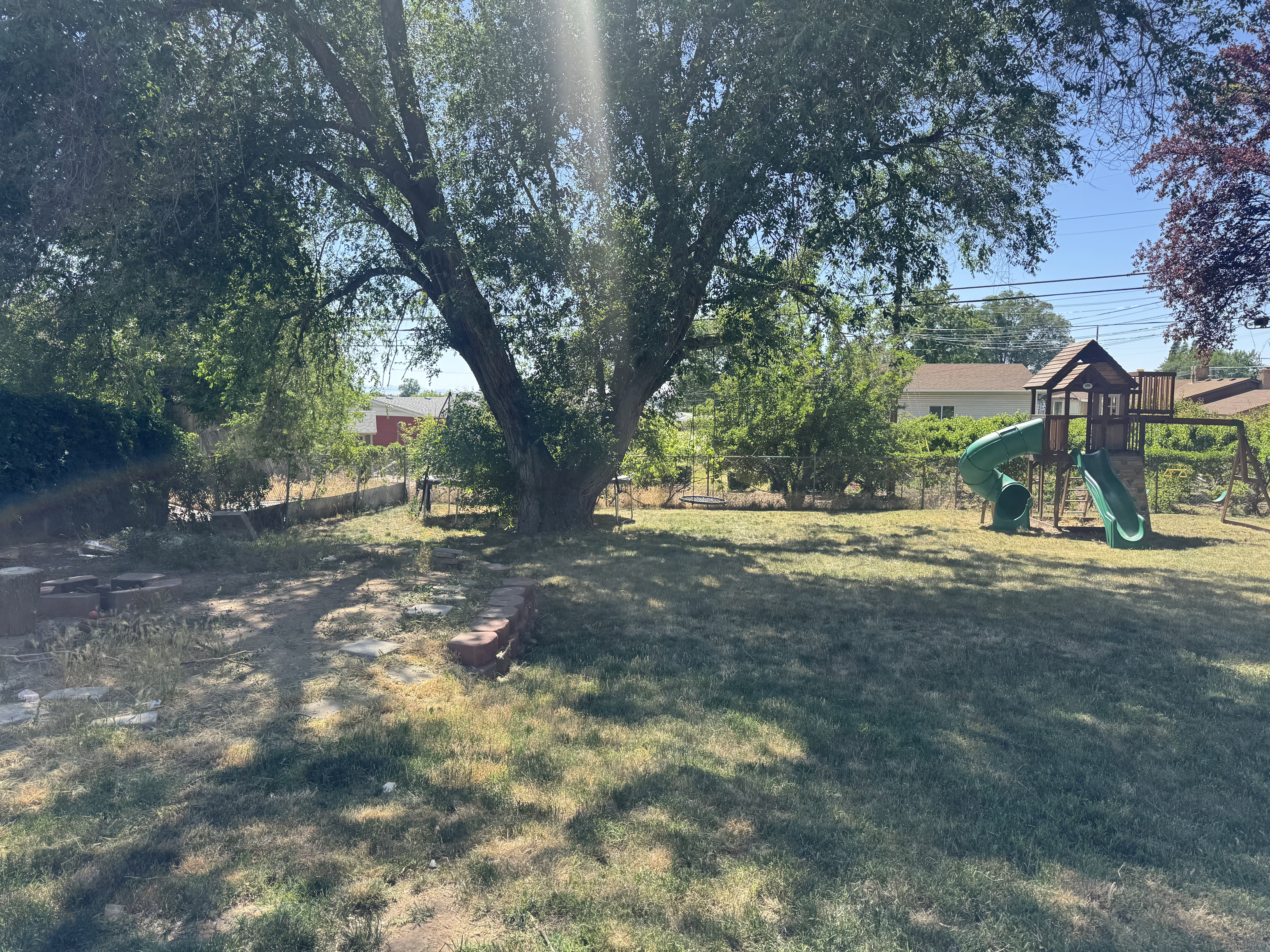Expansive backyard featuring a mature shade tree, a chain-link perimeter fence, and a wooden playset with two slides
