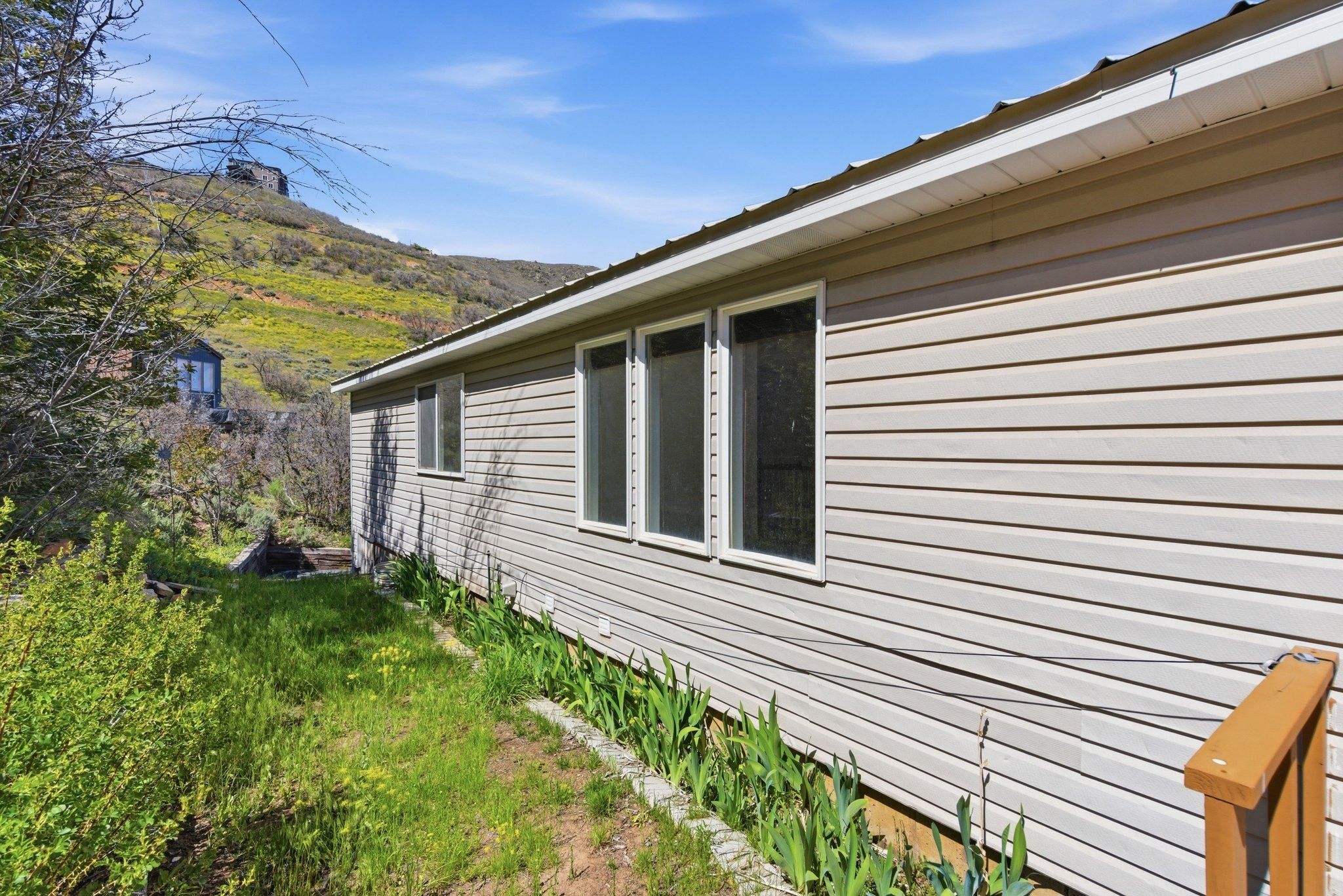 Exterior siding featuring multiple windows with white trim, a gabled roofline, and a natural landscape surrounding the property