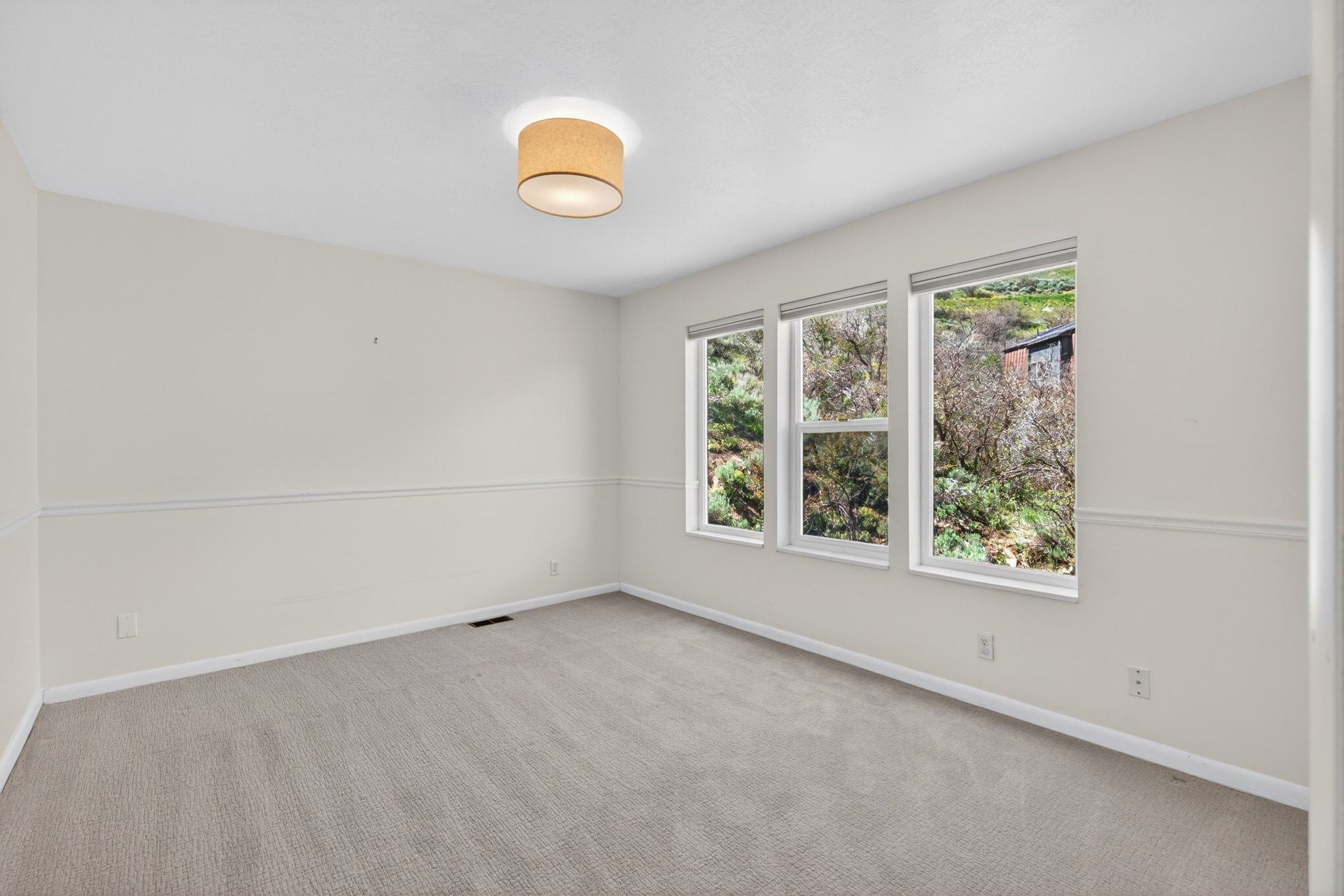 Neutral-toned carpeting enhances this bright room featuring multiple windows, a ceiling-mounted light fixture, and crown molding details