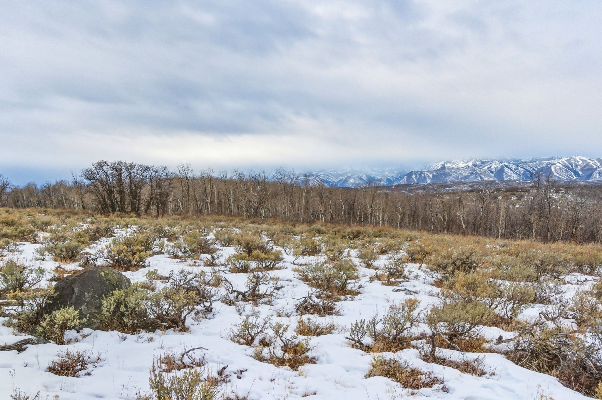 Expansive snow-dusted landscape featuring low-lying vegetation and a large boulder in the foreground