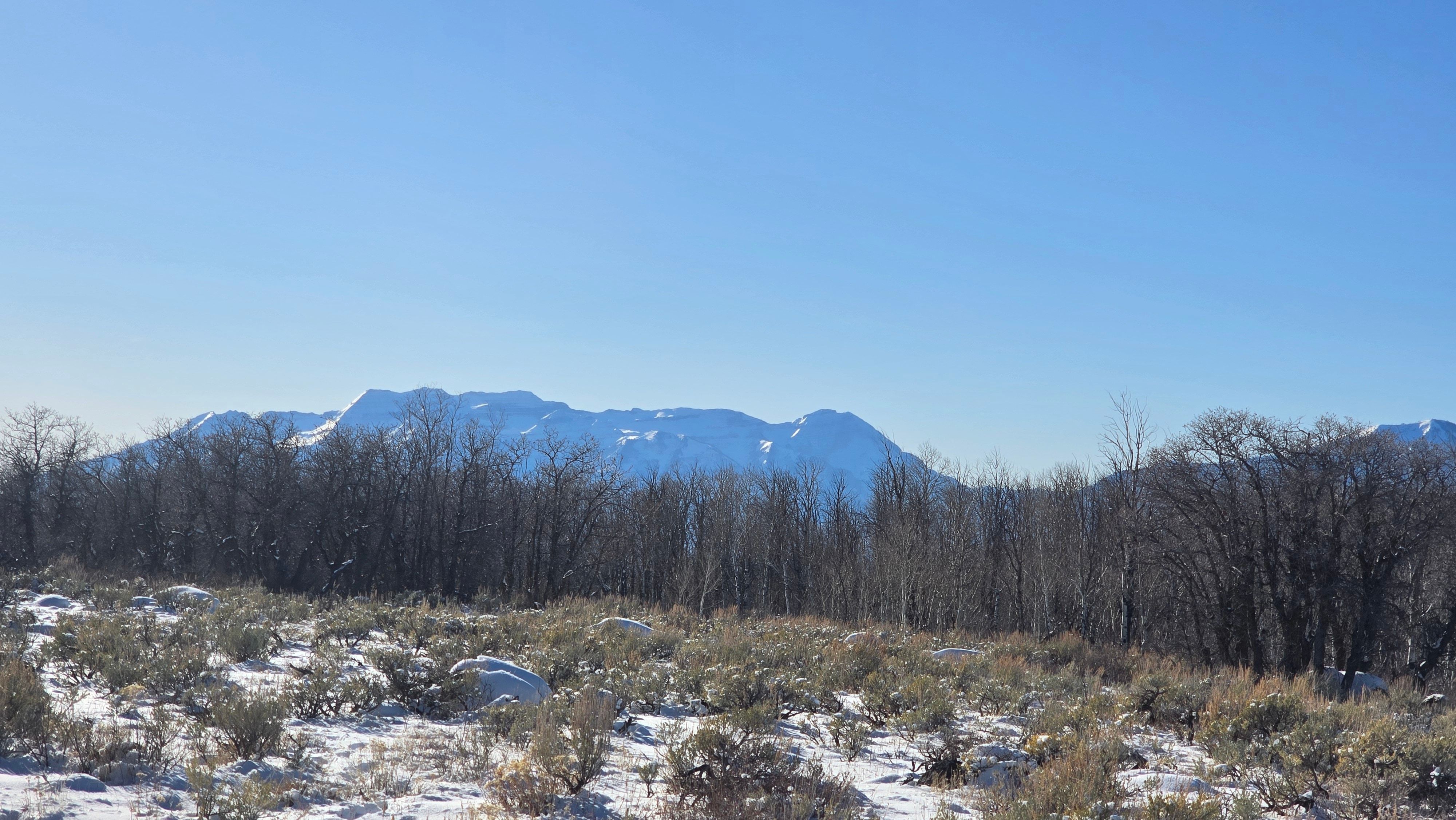Snow-dusted terrain with distant snow-capped mountains and a clear blue sky