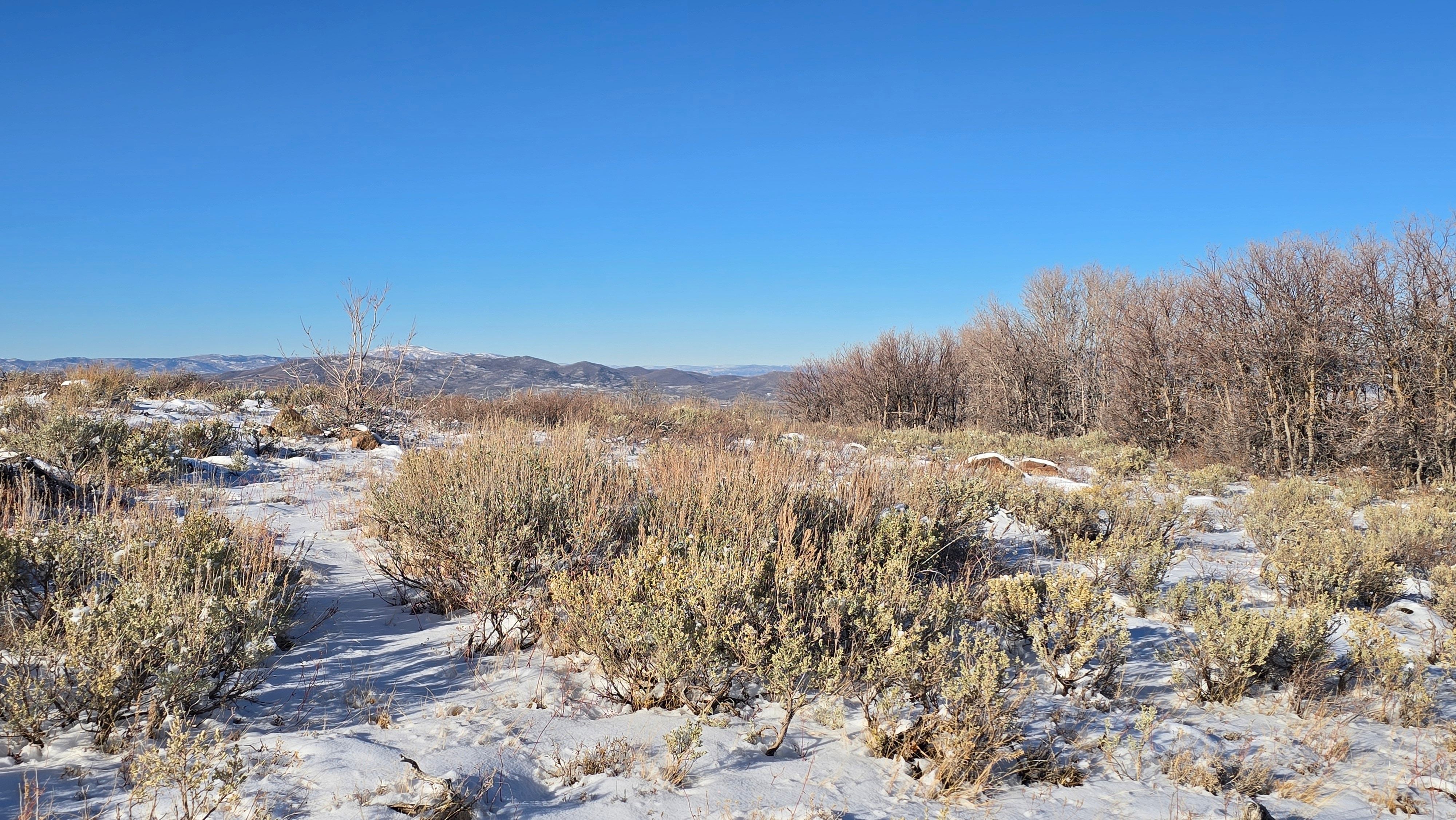 Expansive outdoor property featuring snow-dusted terrain, mature trees bordering the perimeter, and distant mountain ranges under a clear blue sky