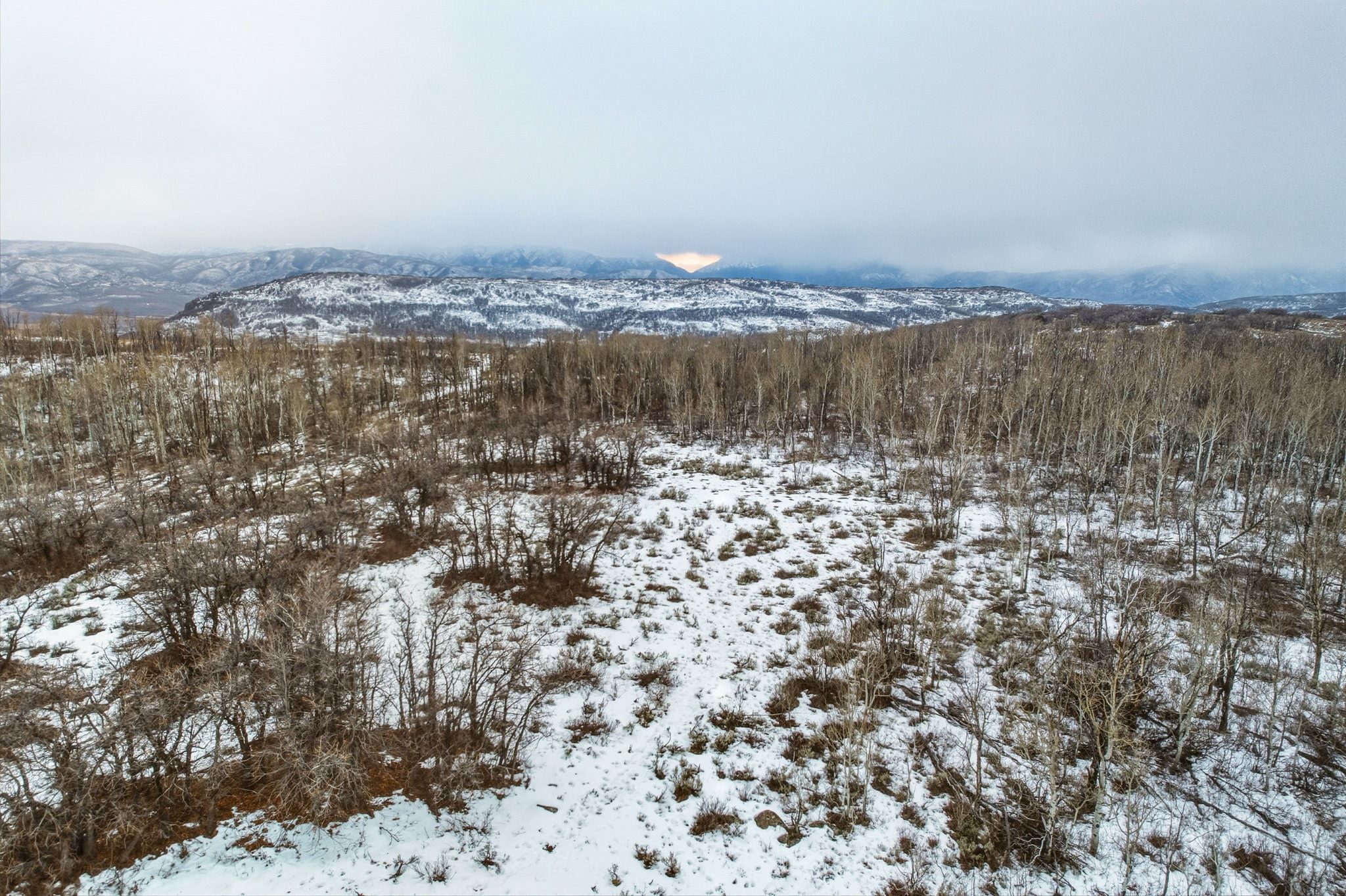 Snow-covered terrain featuring a mix of deciduous trees and brush