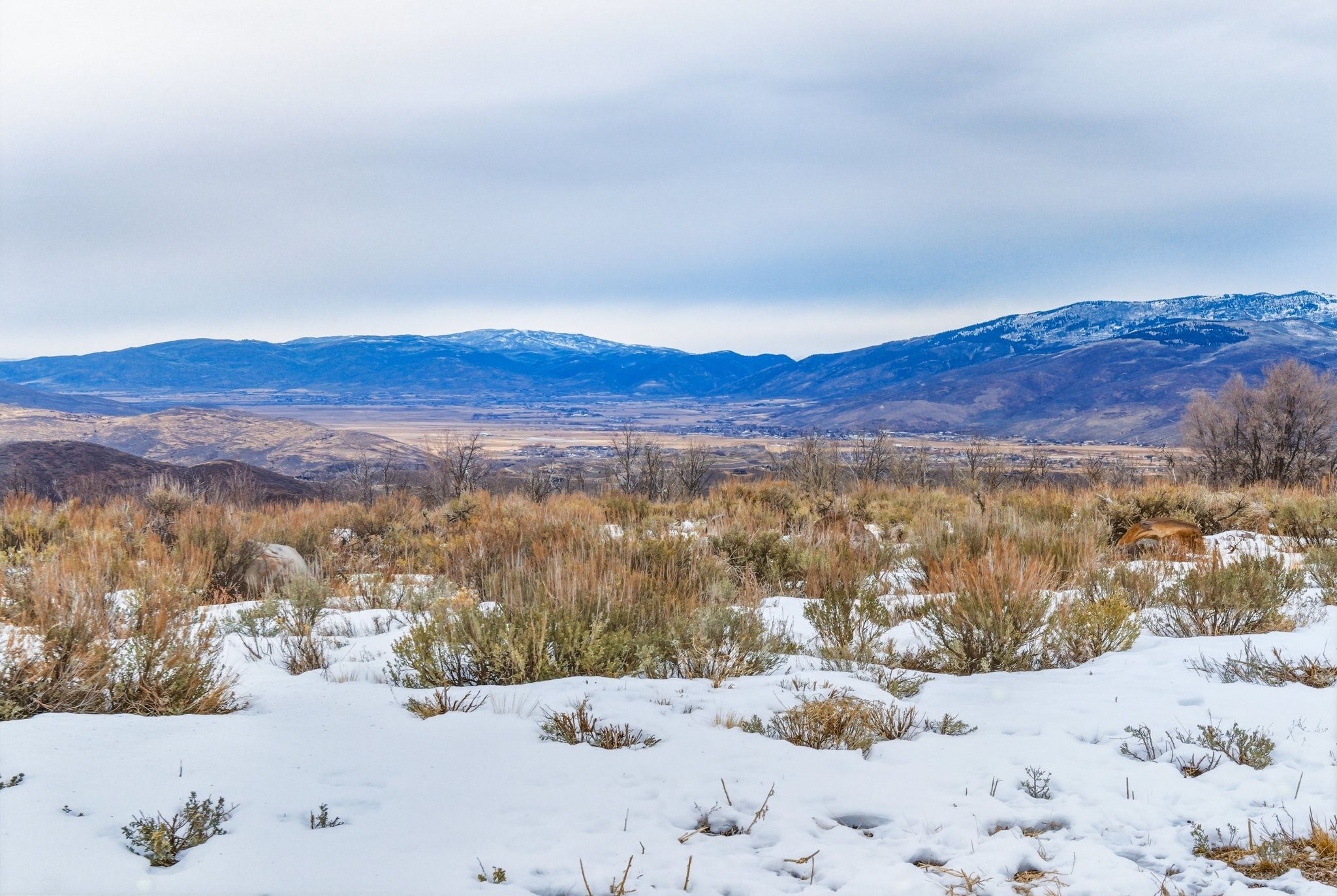 Snow-dusted landscape featuring expansive mountain ranges, distant valley, and scattered natural brush