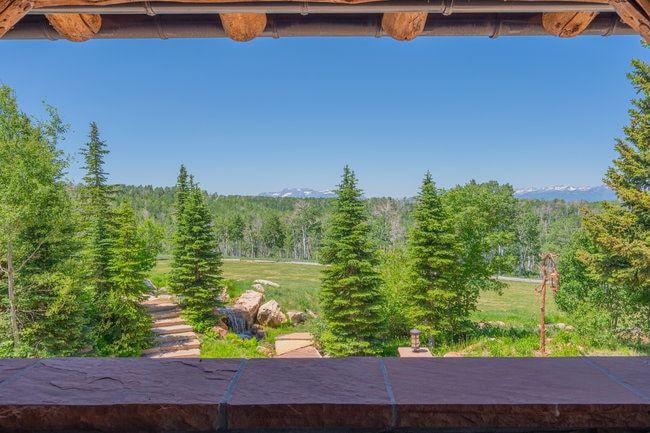 Expansive natural landscape featuring lush evergreen trees, a vast green meadow, and distant snow-capped mountains