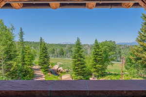 Expansive natural landscape featuring lush evergreen trees, a vast green meadow, and distant snow-capped mountains