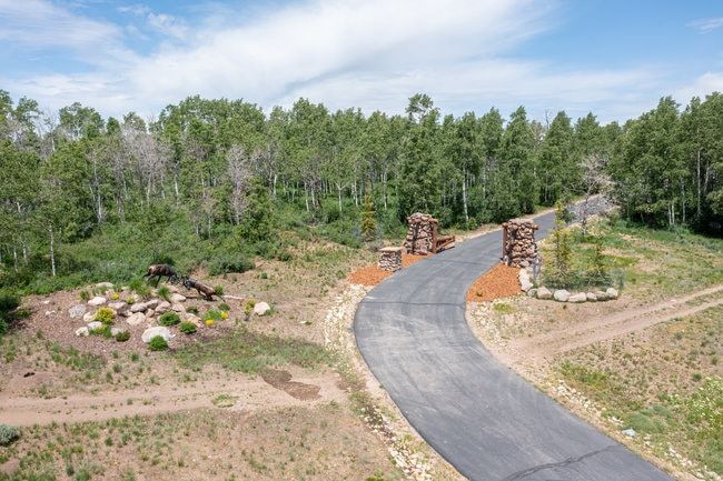 Paved driveway entrance featuring stone pillars and surrounding natural landscaping