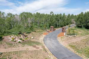 Paved driveway entrance featuring stone pillars and surrounding natural landscaping