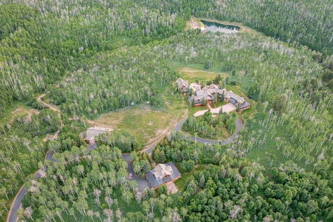 Expansive wooded property featuring a large residence, a secondary structure, and a winding paved driveway
