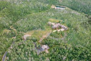 Expansive wooded property featuring a large residence, a secondary structure, and a winding paved driveway