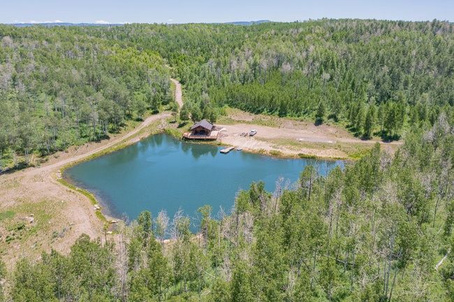 Wooded acreage featuring a private pond with a small dock, a dirt access road, and a rustic cabin with an expansive deck