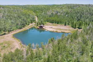 Wooded acreage featuring a private pond with a small dock, a dirt access road, and a rustic cabin with an expansive deck