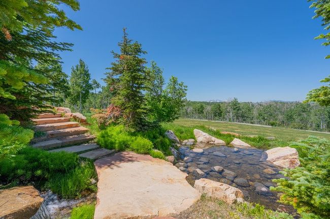Stone staircase and water feature surrounded by lush greenery, leading to an expansive open field with distant treelines