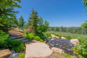 Stone staircase and water feature surrounded by lush greenery, leading to an expansive open field with distant treelines