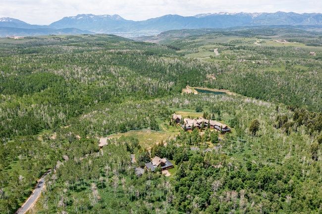 Expansive wooded landscape featuring a private lake, two distinct structures, and a paved access road