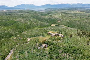 Expansive wooded landscape featuring a private lake, two distinct structures, and a paved access road