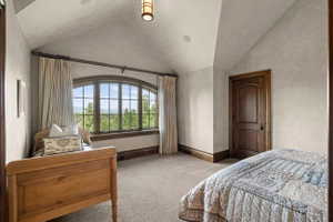 Arched picture window with scenic natural backdrop