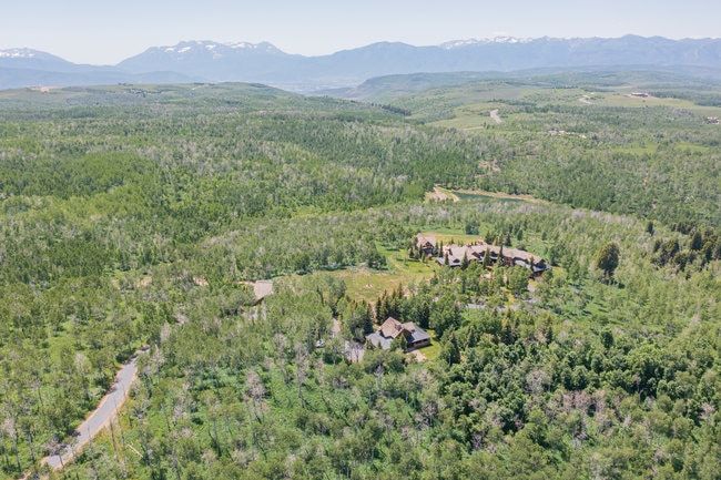 Aerial perspective showcasing a property surrounded by extensive natural landscaping and mature trees