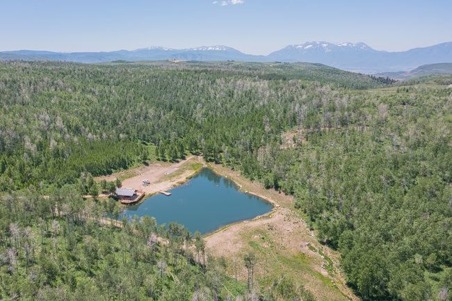 Expansive wooded acreage featuring a private lake, a cabin with a dark roof, and a private dock