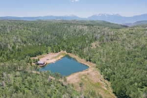 Expansive wooded acreage featuring a private lake, a cabin with a dark roof, and a private dock