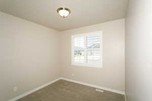 Window with plantation shutters, neutral wall paint, ceiling light fixture, and carpeted flooring