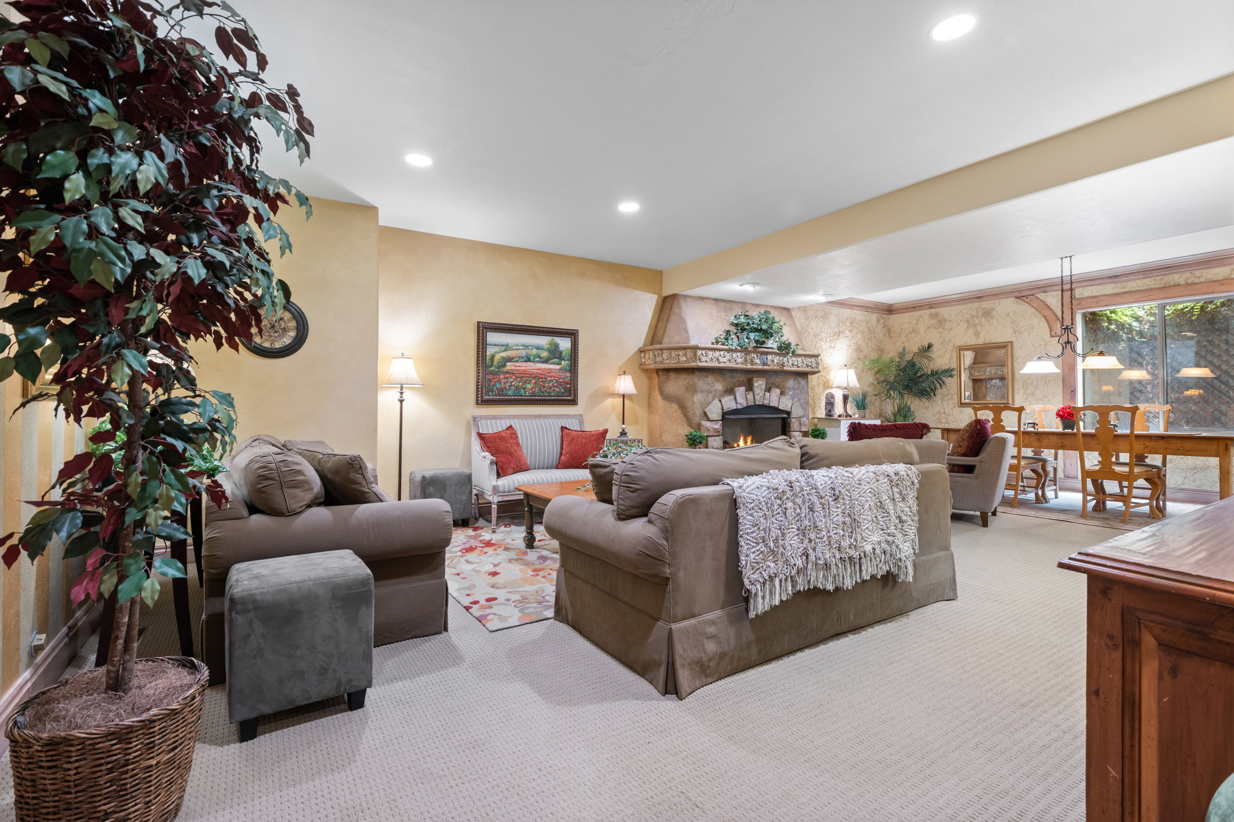 Basement Apartment - Spacious Living/Dining Area