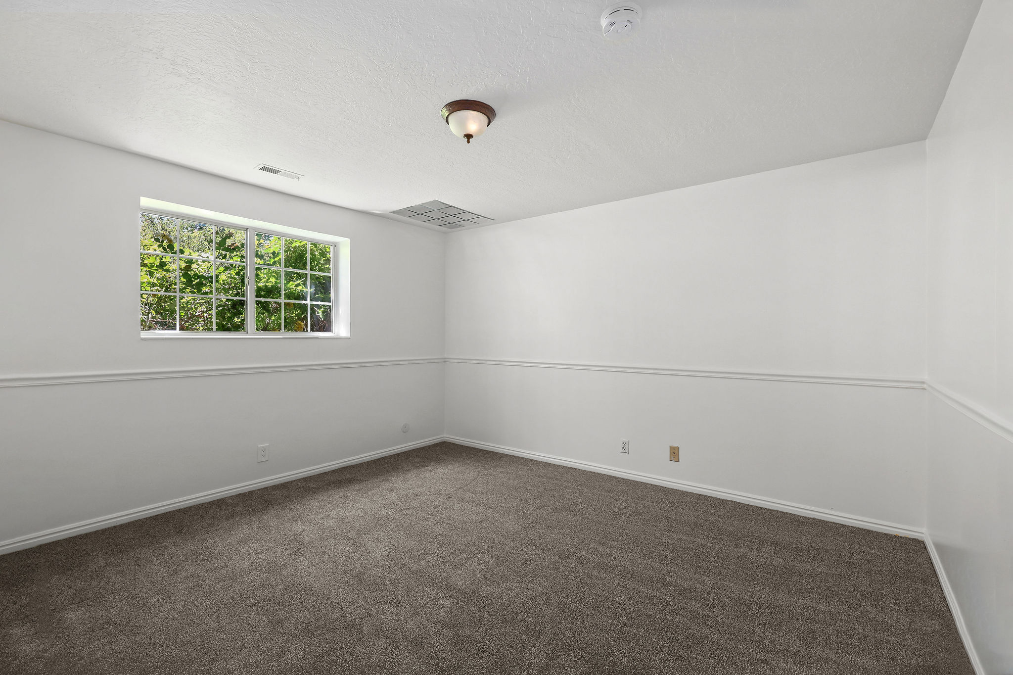 Bright room featuring a large window with grid panes, neutral-toned carpeting, and white wall paneling