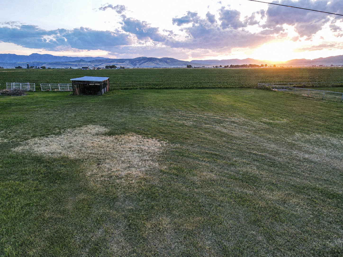 Pasture