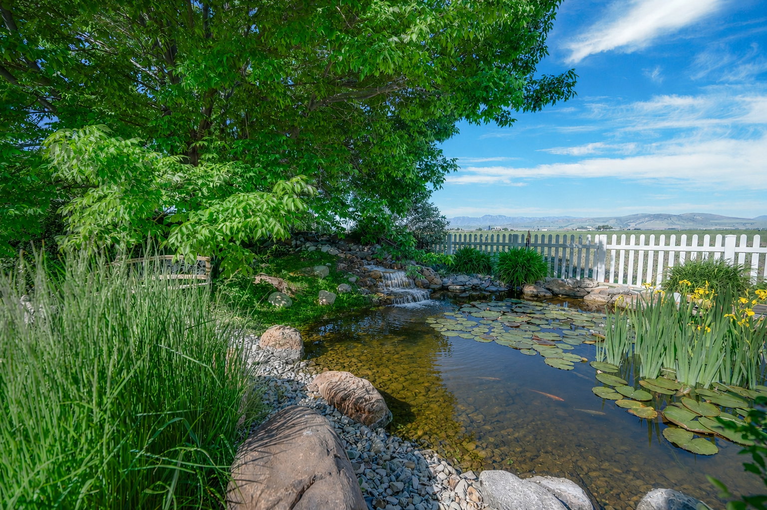 Pond and waterfall