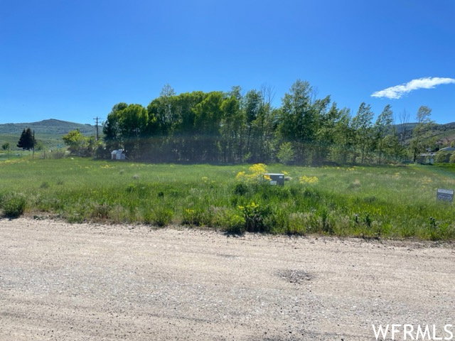 Expansive grassy lot featuring mature trees and a gravel road frontage