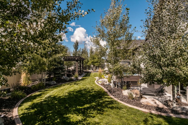 Expansive backyard featuring a manicured lawn, established trees, and a dark-stained wood pergola