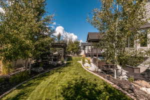 Lush green lawn with defined borders and landscaping