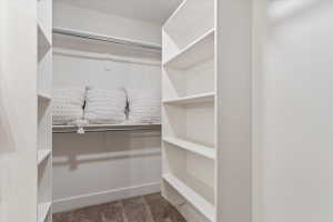 Walk-in closet featuring built-in shelving, hanging rods, and carpeted flooring