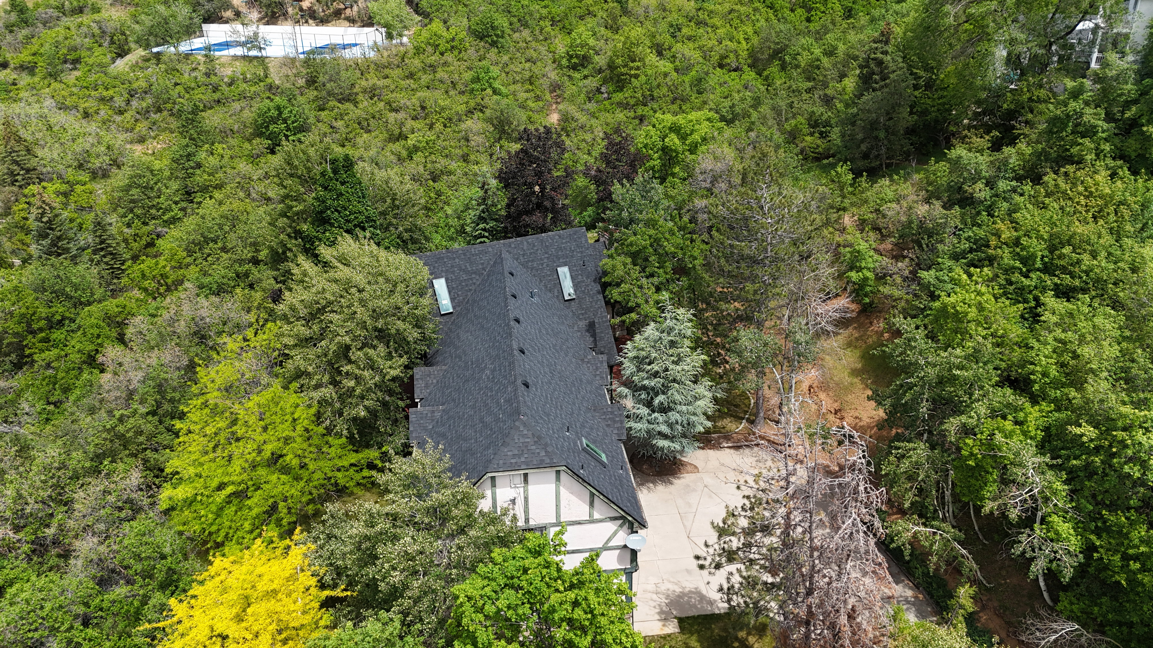 Tudor-style residence with a dark shingle roof and white and green exterior accents, surrounded by mature trees