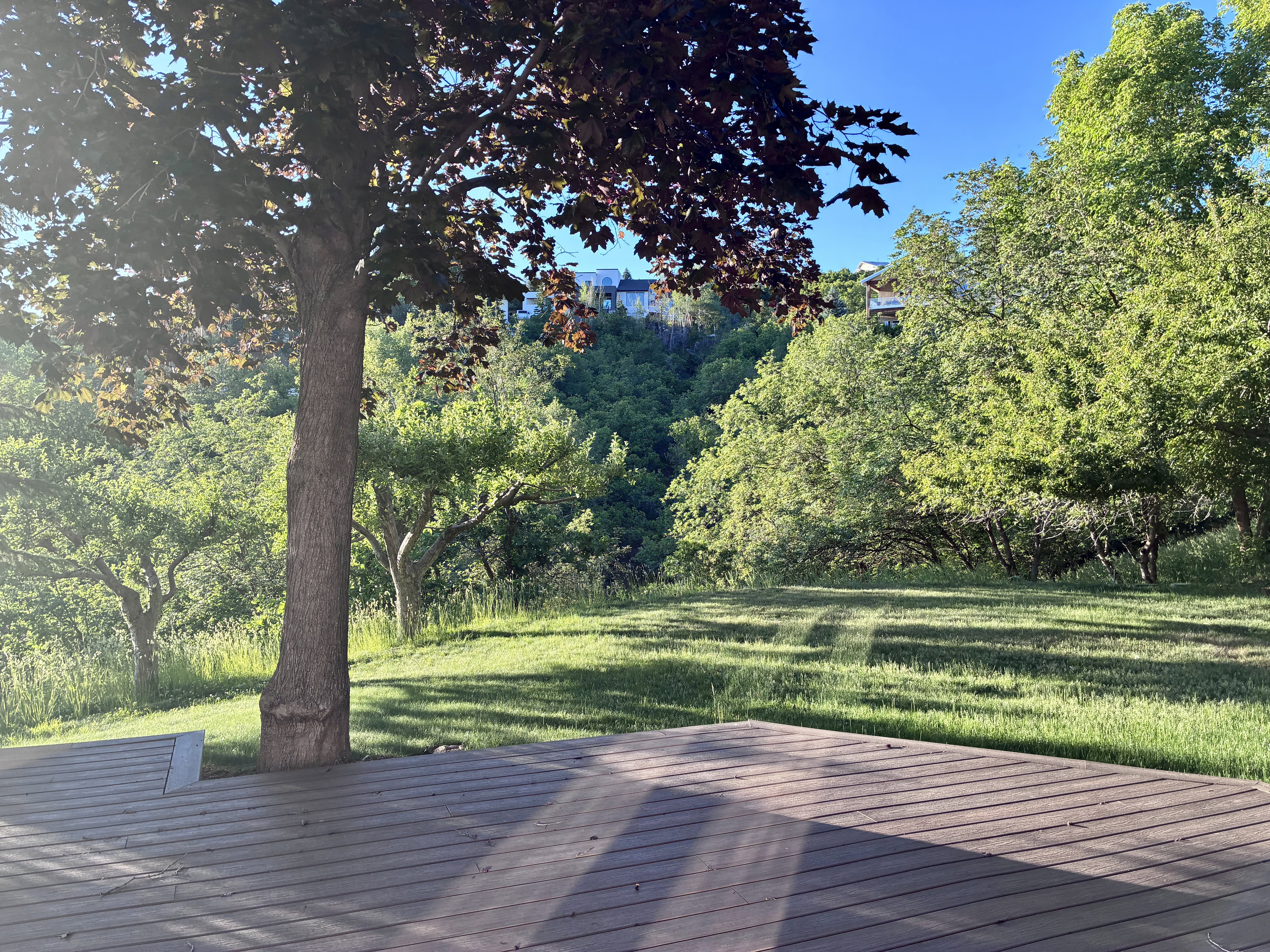 Expansive outdoor deck with composite decking and mature tree, overlooking a verdant hillside with varied foliage and open grassy areas
